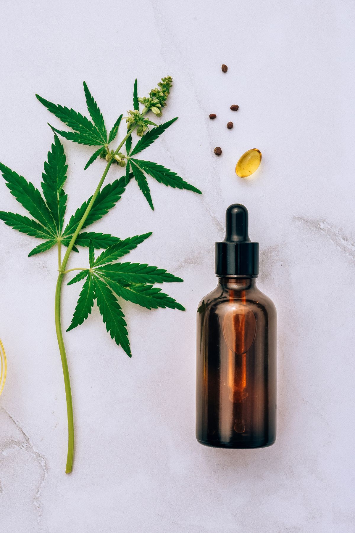 CBD Oil for Dogs Dosage Calculator-2.
