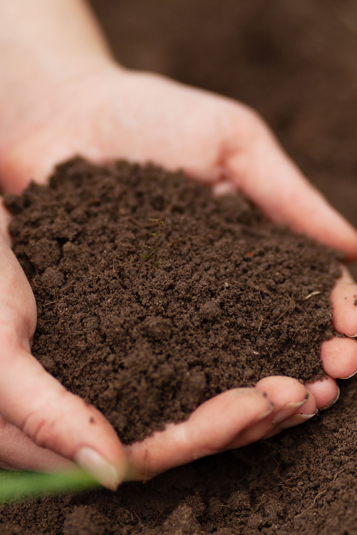 estimate-dirt-yardage-1.