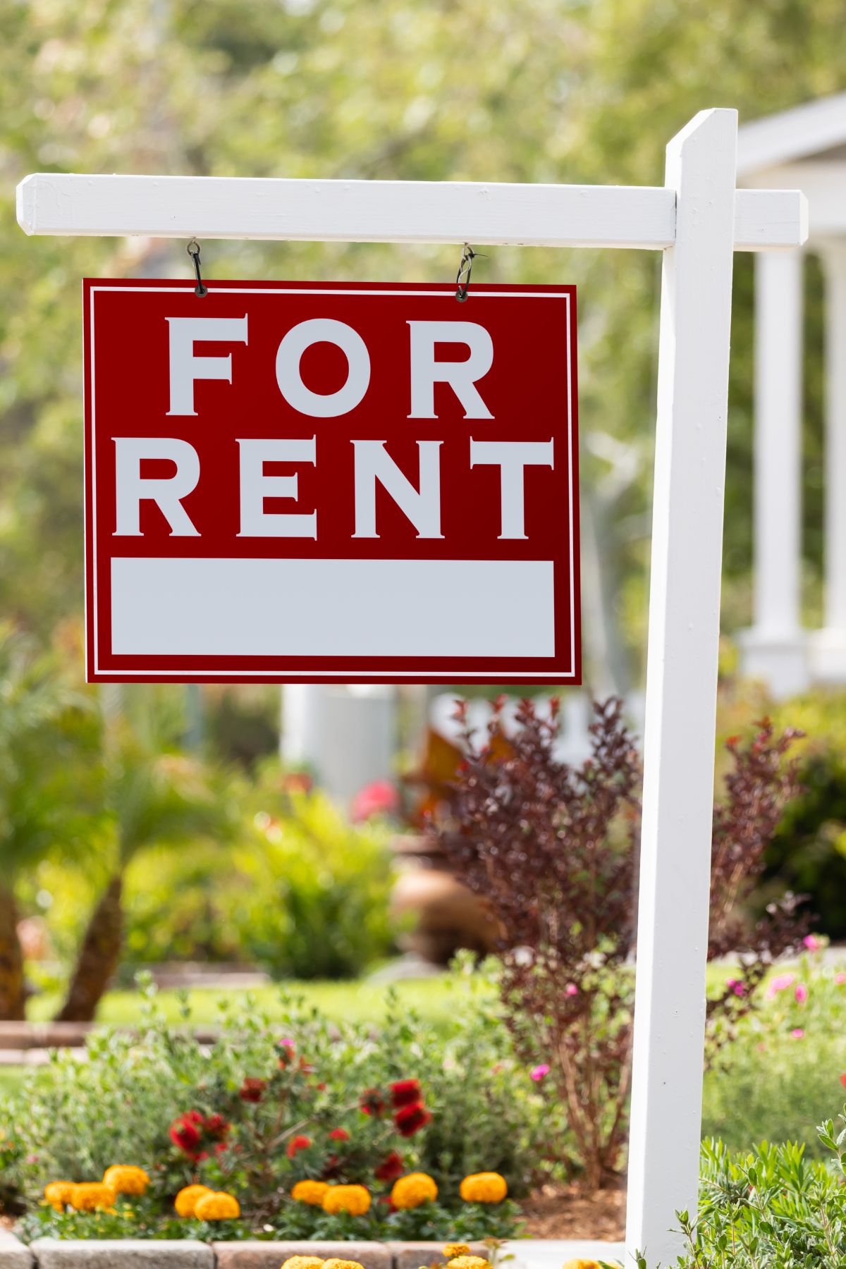 cash-on-cash-calculator-1.